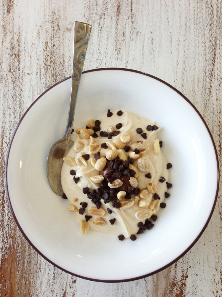 Peanut Butter Chocolate Chip Yogurt Recipe Hearth