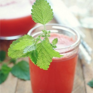 Watermelon Spritzers<br> with Lemon and Honey<br>