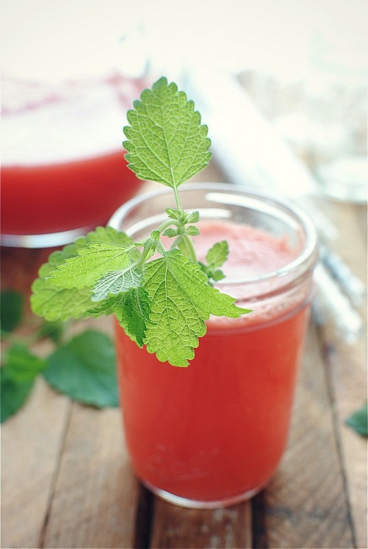 Watermelon Spritzers<br> with Lemon and Honey<br>