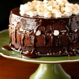 Chocolate-Malt Cake