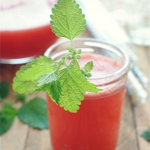 Watermelon Spritzers with Lemon and Honey