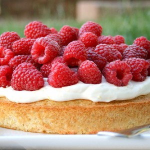 Lemon and Raspberry Summer Cake
