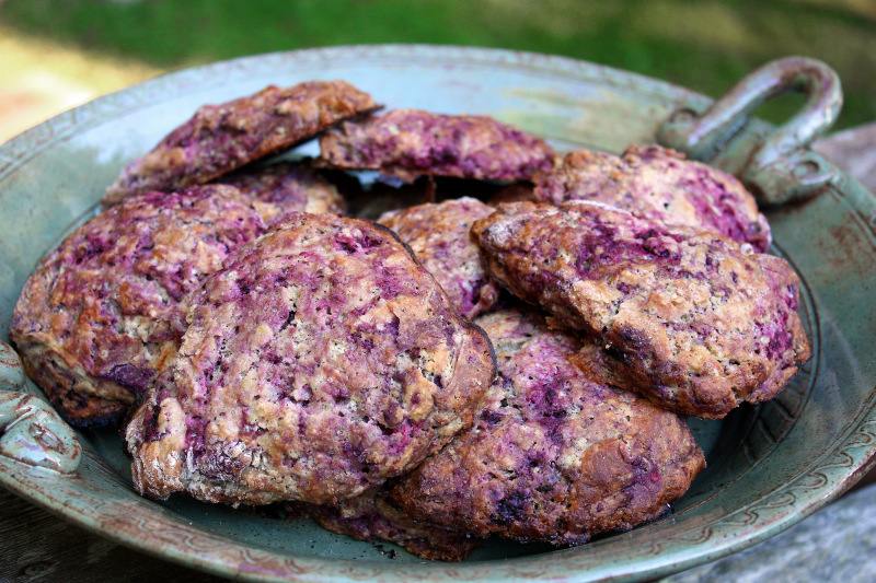Wild Purple Scones