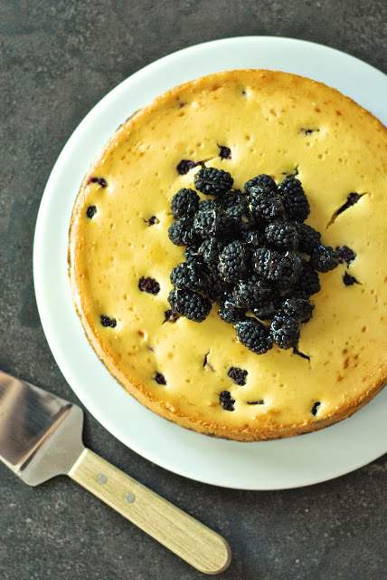 Honey and Blackberry Cheesecake with Gingersnap Crust